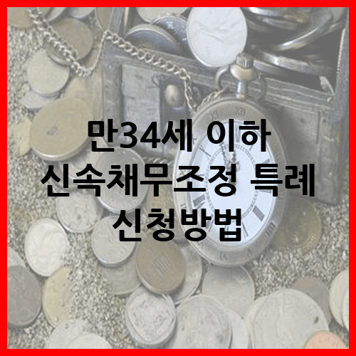 신속채무조정