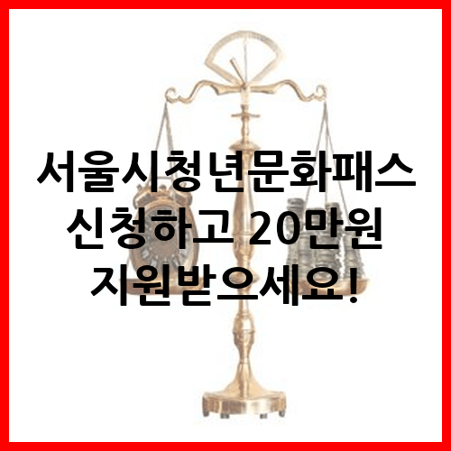 서울시청년문화패스