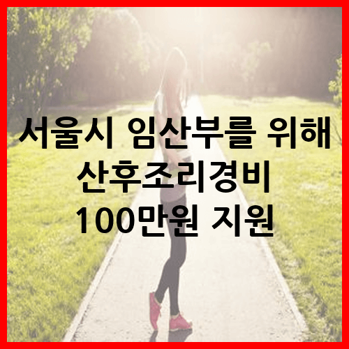 서울시 임산부를 위해 산후조리경비 100만원 지원