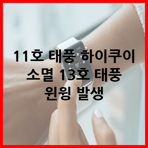 13호 태풍 윈윙