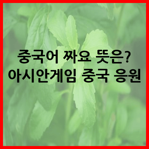 중국어 짜요 뜻은? 아시안게임 중국 응원