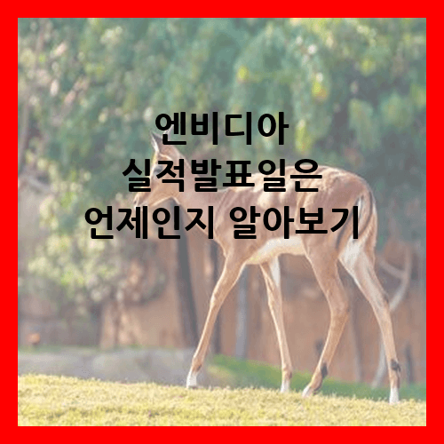 엔비디아 실적발표일