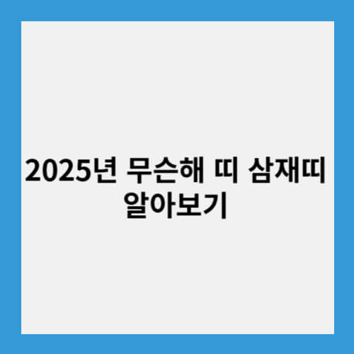 2025년 무슨해