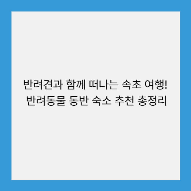 반려견과 함께 떠나는 속초 여행! 반려동물 동반 숙소 추천 총정리