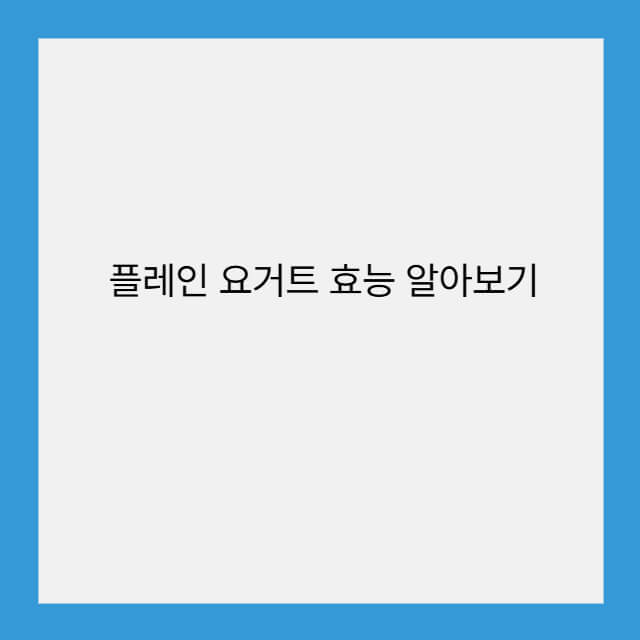 플레인 요거트