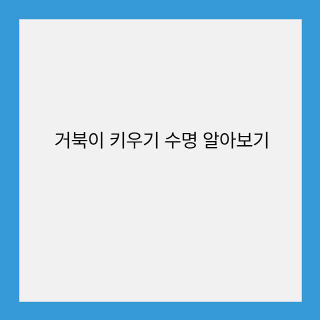 거북이 키우기 수명 알아보기