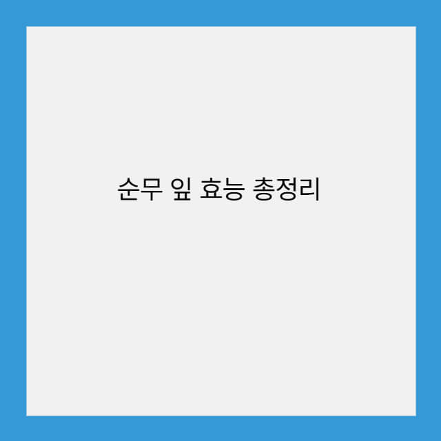 순무 잎 효능
